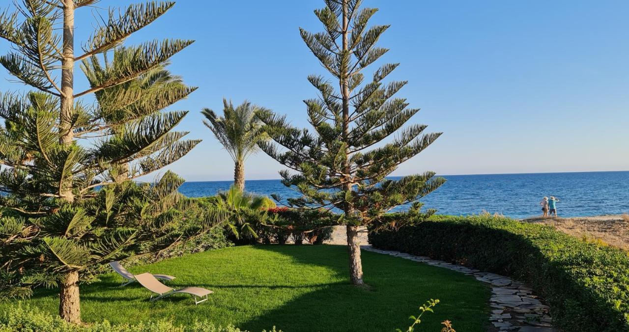 Villa Del Mar Mazotos Exterior photo