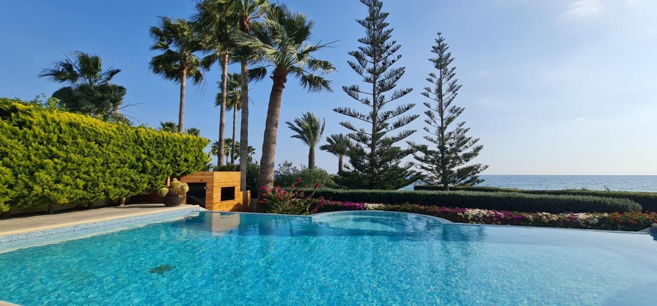 Villa Del Mar Mazotos Exterior photo